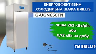 Шкаф холодильный энергоэффективный BRILLIS G-UGN650TN