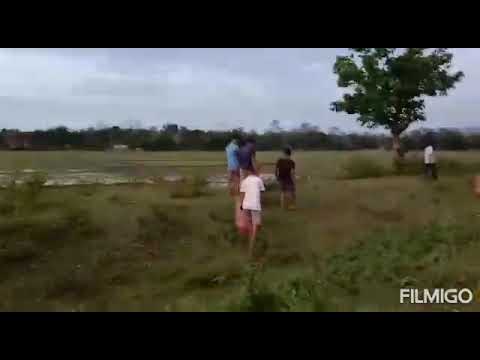 Plantation @Jiyon Club, Nazira, Sivasagar