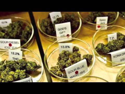 Elezeta, Edu Nuño, Nikon - Weednighters