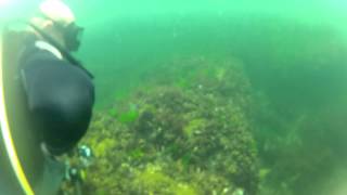 preview picture of video 'Sozopol Dive 2014 Short Version'