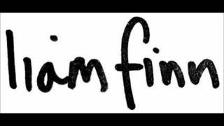 Liam Finn - Roll Of The Eye.wmv