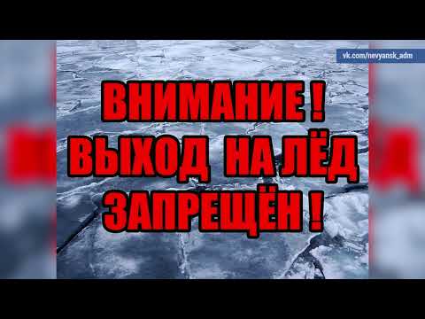 2026 03 31 Новости глав