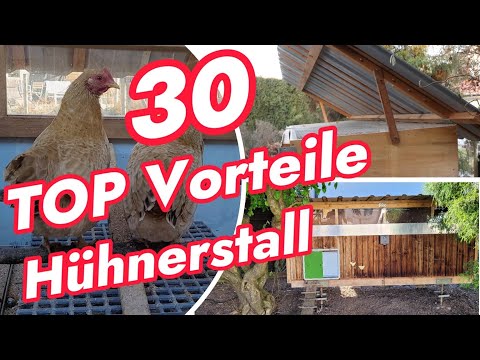 F11: Optimize your chicken coop or build the optimal chicken coop yourself with these 30 great ideas