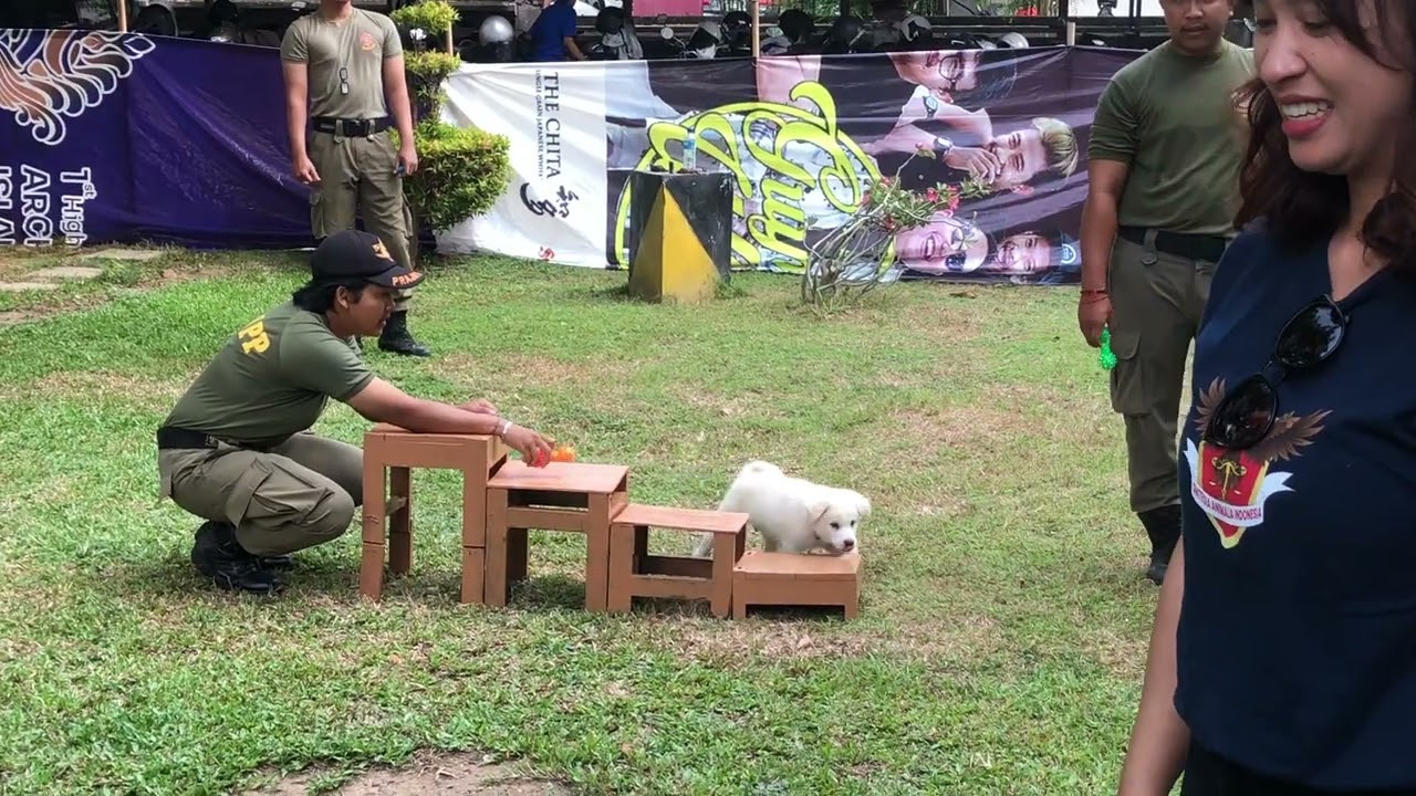 Satpol PP Pariwisata Provinsi Bali