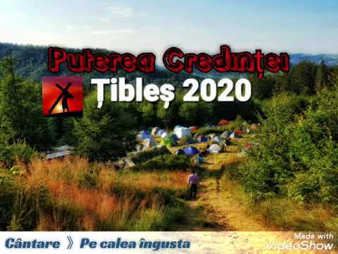 Țibleș 2020 》 Pe calea îngusta e lupta