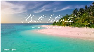 The Ultimate Guide to Planning the cheapest Bali Trip - 2022