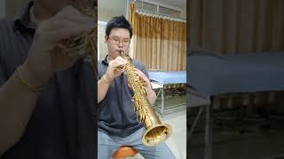 Over the Rainbow (Kenny G) Yanagisawa SWO1 Dukoff D8