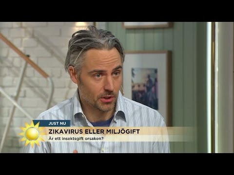 Ny Zika-teori - därför föds barnen med små huvuden - Nyhetsmorgon (TV4)