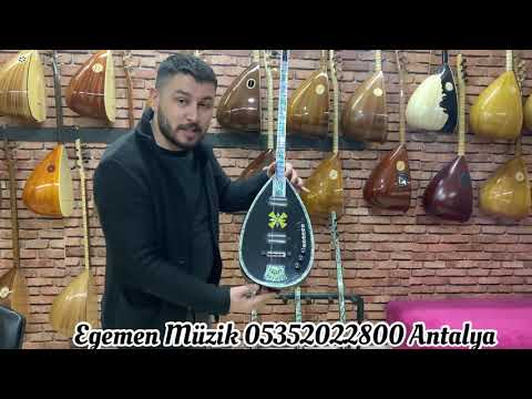 ERİK DALI GEVREKTİR. RİTİMLİ ELEKTRO AFYON ŞUHUT YOLCUSU