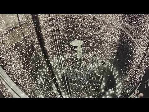 アンソニア・ジェツクマラニについて詳しく解説