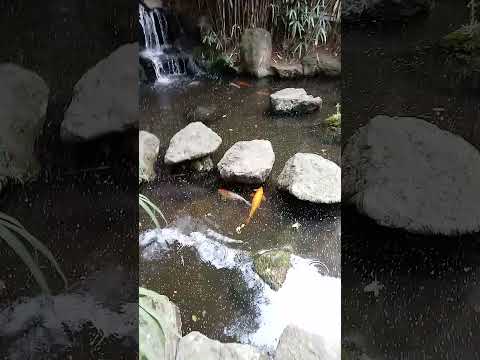 Bairro da Liberdade. São Paulo. Local de morada de povos do oriente. Japoneses, Coreanos e Chineses.