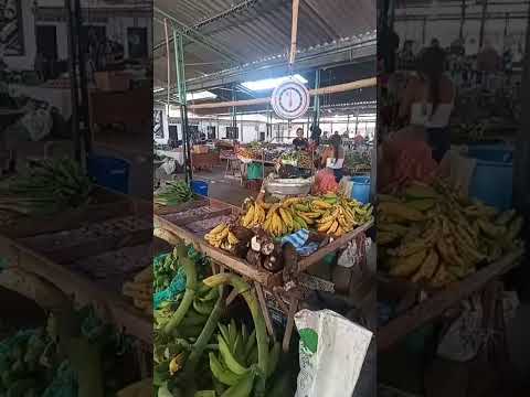 PLAZA DE MERCADO DEL MUNICIPIO DE EL PITAL, HUILA
