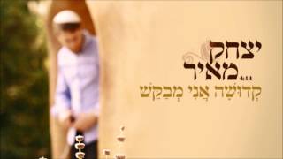 יצחק מאיר - קדושה אני מבקש | Yitzchak Meir - Kdusha Ani Mevakesh