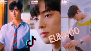 CHA EUNWOO (Lee Dong Min) Astro #6  TIKTOK COMPILA