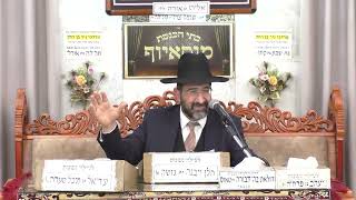 הרב אייל שרגא  •  גאולת ישראל ממצרים  •  פרשת וארא תשפ'ו (בית הכנסת מוסאיוף) - התמונה מוצגת ישירות מתוך אתר האינטרנט יוטיוב. זכויות היוצרים בתמונה שייכות ליוצרה. קישור קרדיט למקור התוכן נמצא בתוך דף הסרטון