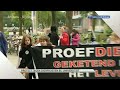 GLD Nieuws 19 mei 2011 - Nieuws
