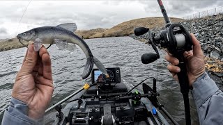 Fishing Big Baits only after a trout plant on small body of water