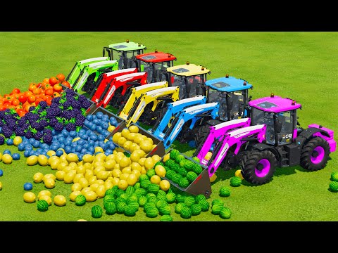 LOAD AND TRANSPORT FRUITS WITH LAMBORGHINI & JCB TRACTORS - Farming Simulator 22