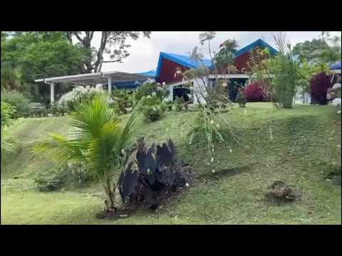 img-video
