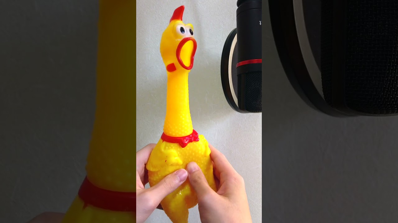 イカゲーム #shorts