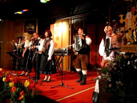 06 Hauskapelle Avsenik - Dunkle Wälder -  Gozdovi v mesecini