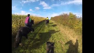 preview picture of video 'Horse Riding with the Go Pro Black'