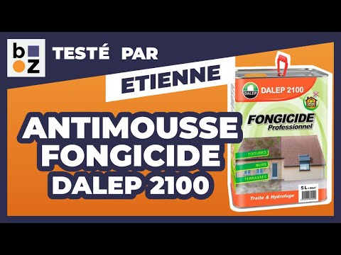 Antimousse fongicide professionnel - Dalep 2100 DALEP