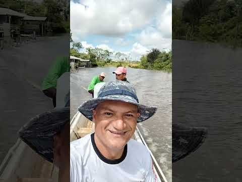 pantanal de Envira Amazonas