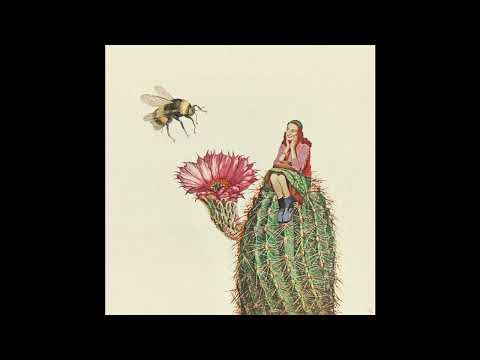 [free] mac miller x tyler, the creator type beat "cactus girl"