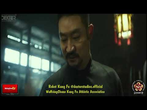 Robot Kung Fu Wing Chun