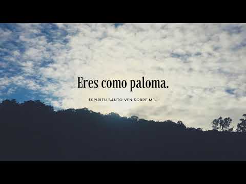 Eres Como Paloma video