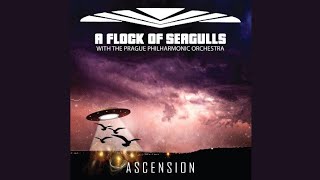 10 Transfer Affection (Orchestral Version)