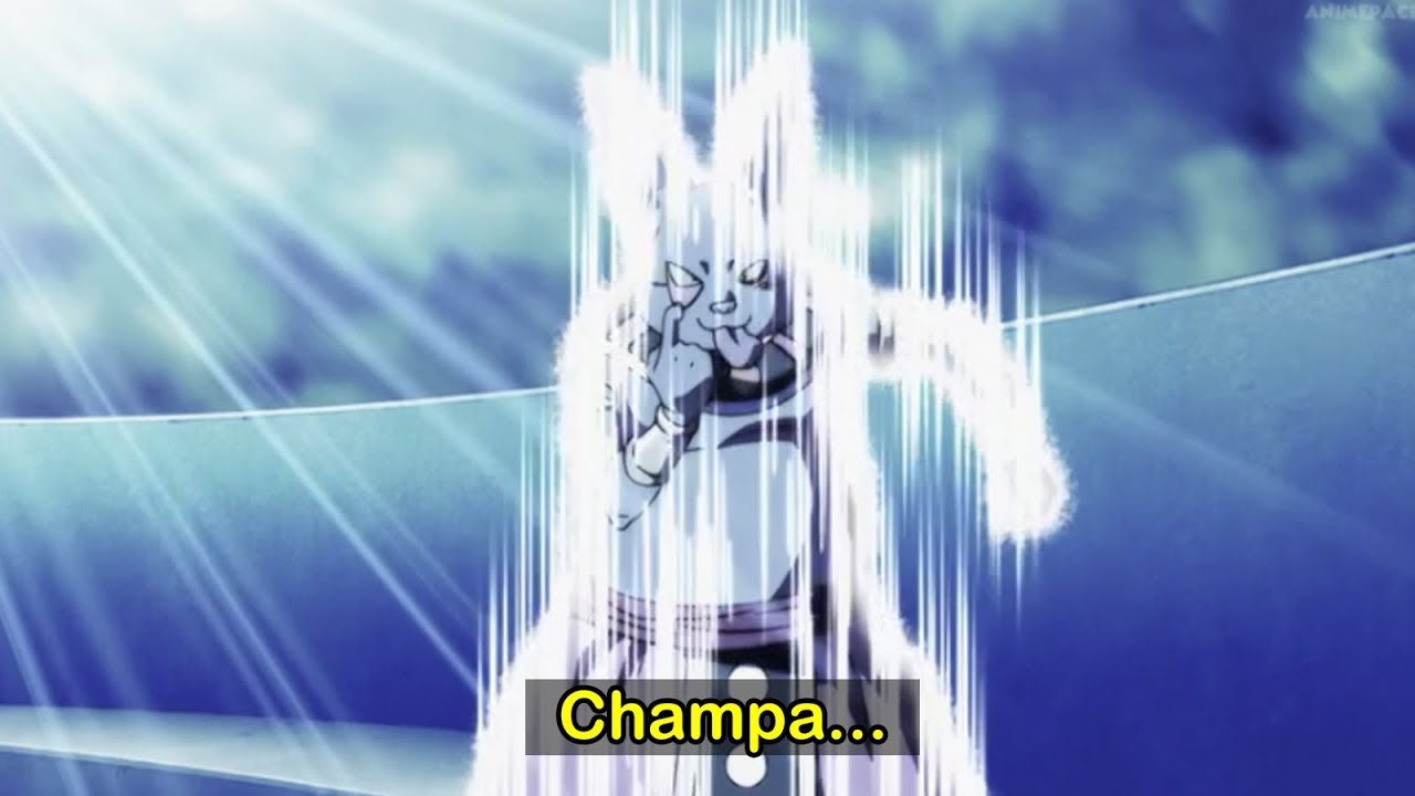 7 Curiosidades / Errores de Dragon Ball Super 118 | Dash Aniston