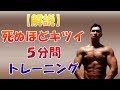 【解説】死ぬほどキツイ５分間トレーニングで全身を効率よく鍛えましょう♪