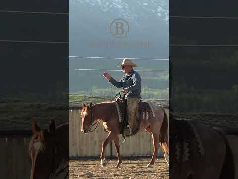 This is what a foundation looks like.