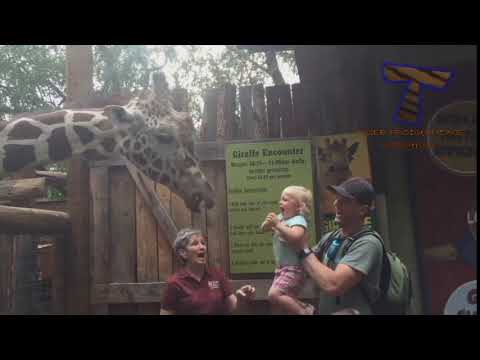 Download Video Lucu 1000 Percent Ngakak Kaskus