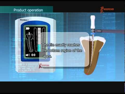 WOODPECKER APEX LOCATOR- Woodpex I