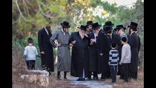 האדמו''ר מתולדות אברהם יצחק ב'נאות דשא' בהר יונה | Toldos Avrohom Yitzchok (4K)