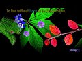 Good Morning Video