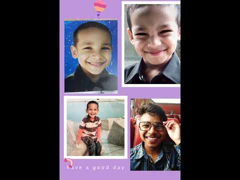 Maruf #cute #catshorts