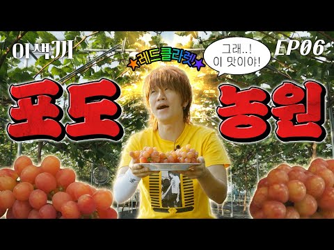 하늘 땅!땅!땅! 만큼 맛있어요! 모두들 포도를 들어요! | 이색끼 Ep.06