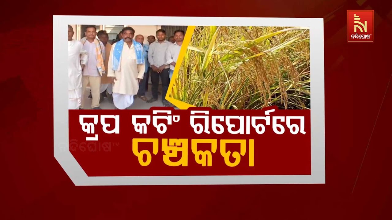 🔴Live | କ୍ରପ କଟିଂ ରିପୋର୍ଟରେ ଚଞ୍ଚକତା