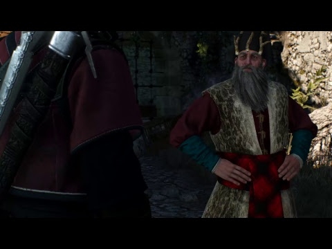 Let's Play Witcher 3 The Wild Hunt Pt. 140