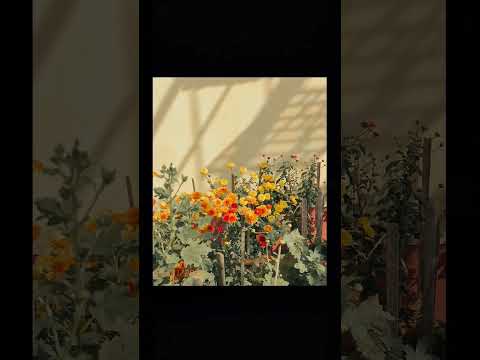 Flowers 🌺🌹💐