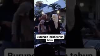Download lagu ketahuan selingkuh oleh pasangan nya #viralvideo #viralshorts #viralshort #videoviral mp3