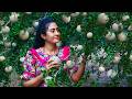 Wood Apple Delights That Sour Sticky Pulp To Jam Ice Packets Tasty Masala More