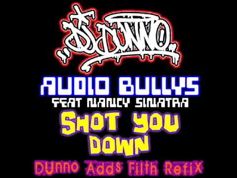 Audio Bullys feat Nancy Sinatra - Shot You Down (Dunno Adds Filth Refix)