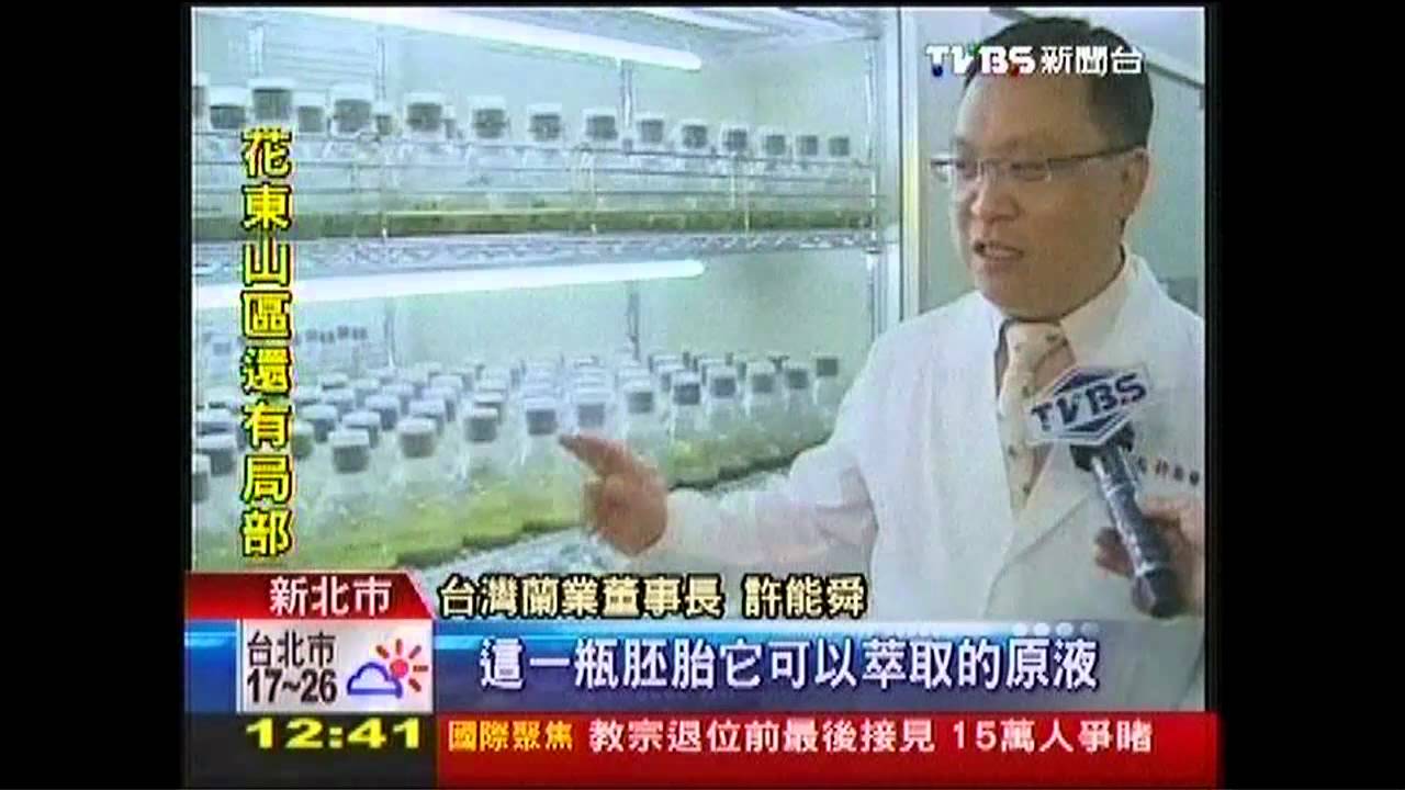 蘭花成金!萃取製保養品、價漲10倍