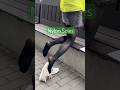 Polka Dots Pantyhose Soles Nylon Tights Hosiery Legs Feet Toes Heels Girl Model