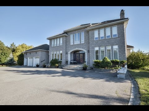 11 Rosegarden Drive Brampton, Mike Donia